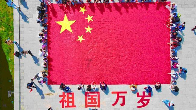 手机充不进电怎么办平台,与你一起探索知识的星球